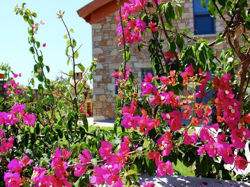 Estrella Villas Lardos Ngoại thất bức ảnh
