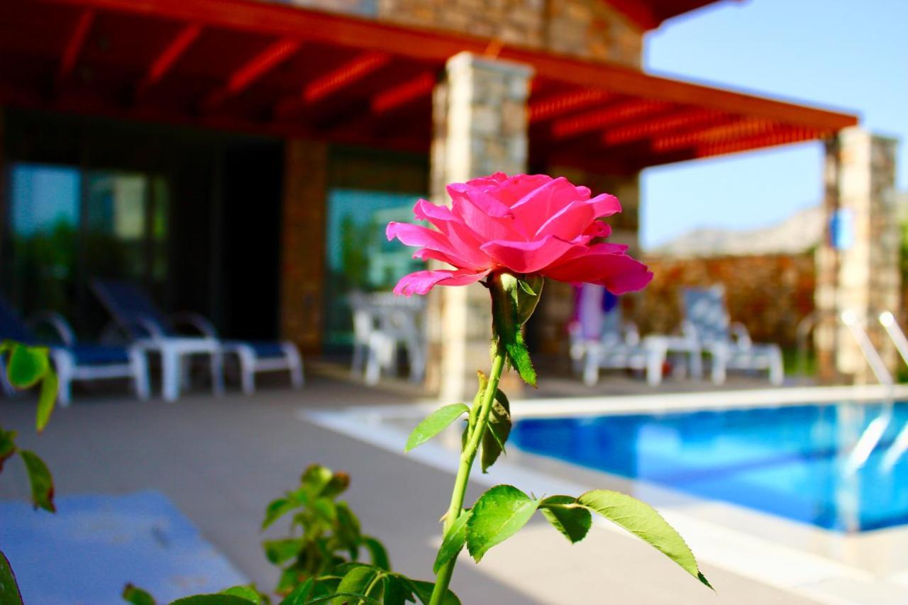 Estrella Villas Lardos Phòng bức ảnh